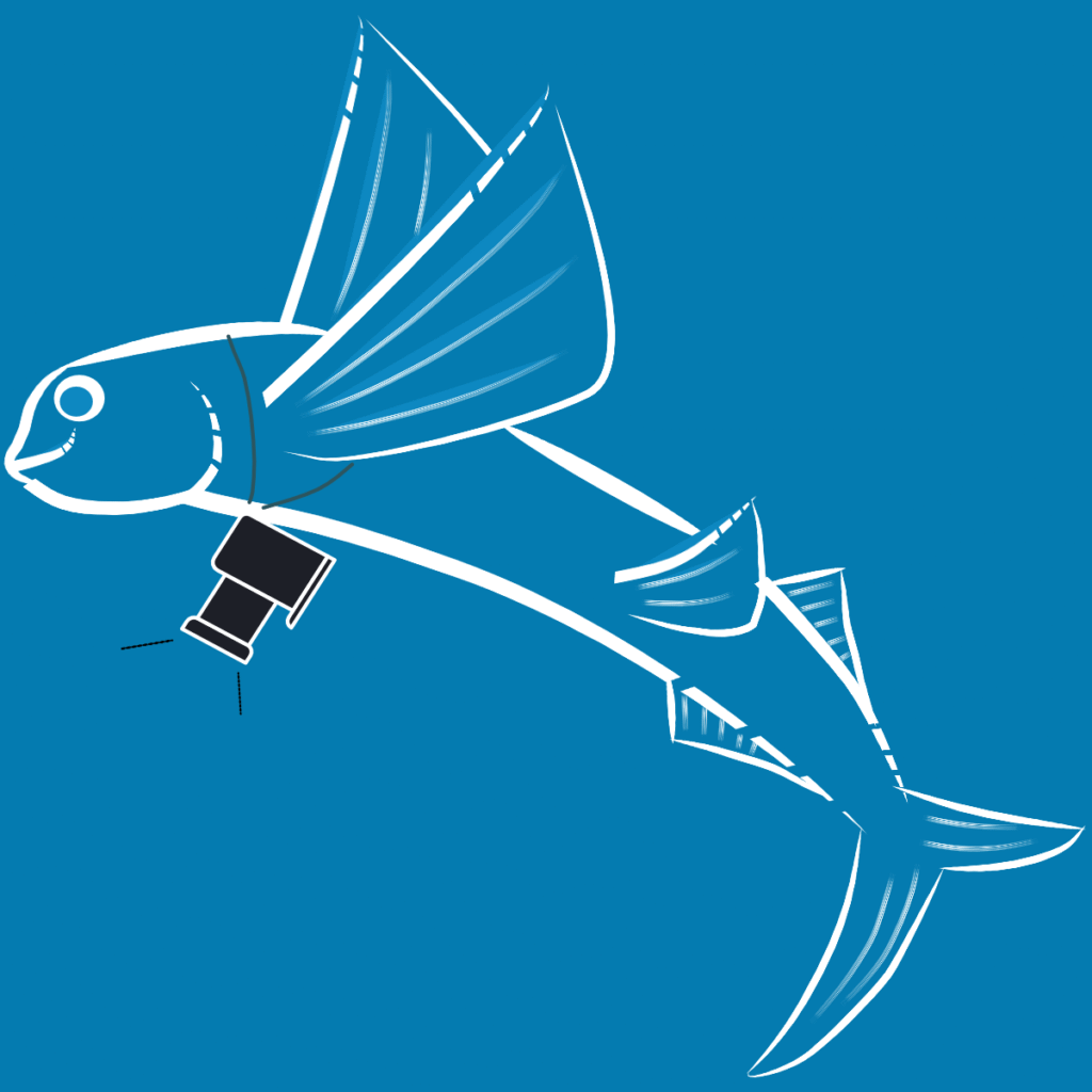 alt="Sky Blue and White cartoon flying fish with a camera"